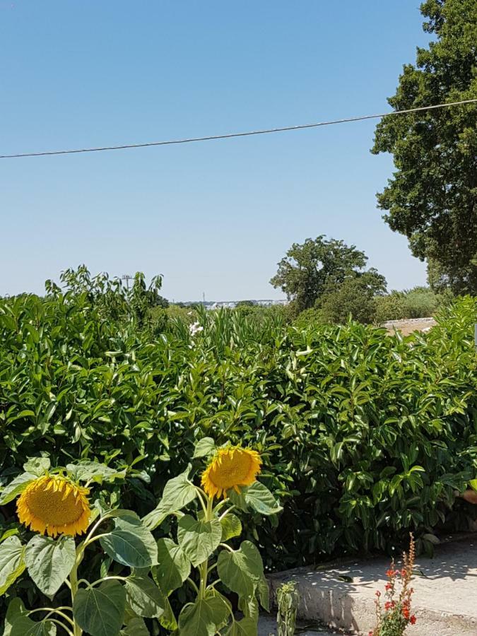 Trulli Della Masseria Staffone Alberobello Exteriör bild